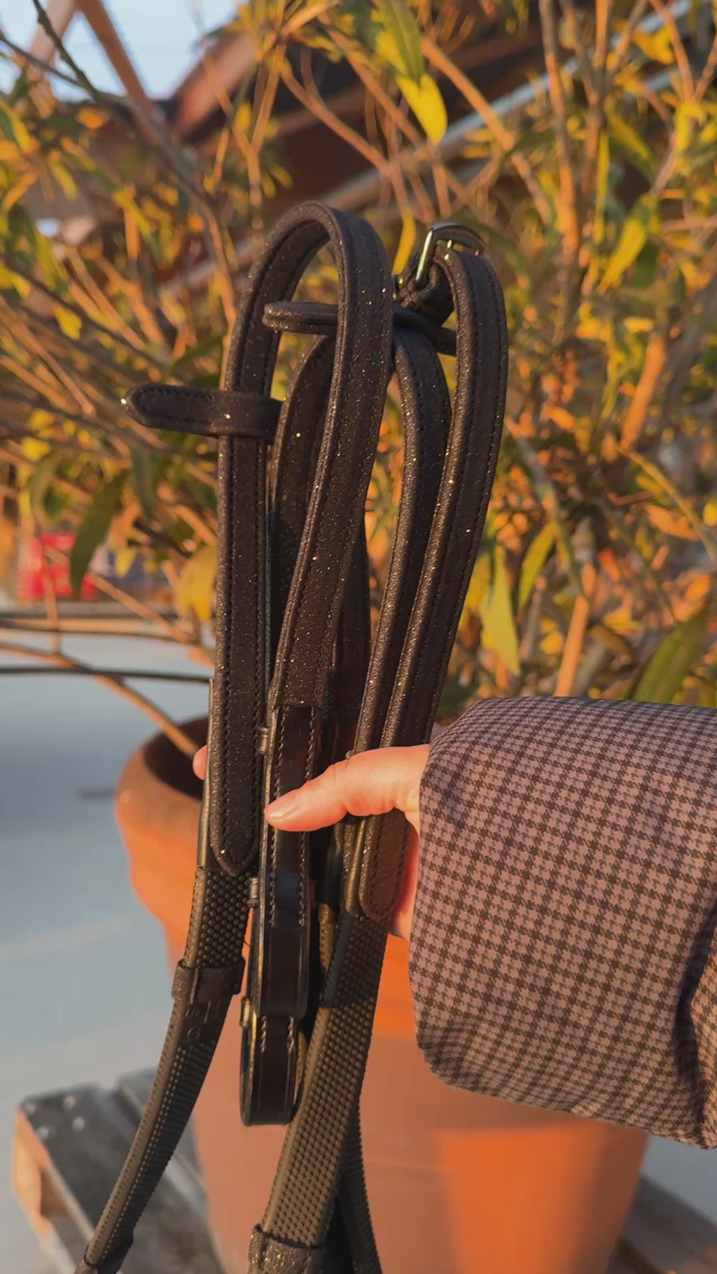 Rênes pailletées Noir - Précommande Avril 2026